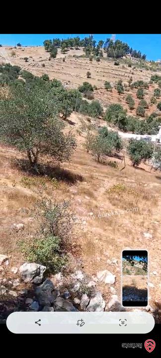 قطعة ارض مساحة 2 دونم و 240م للبيع في عجلون عنجره القاعده
