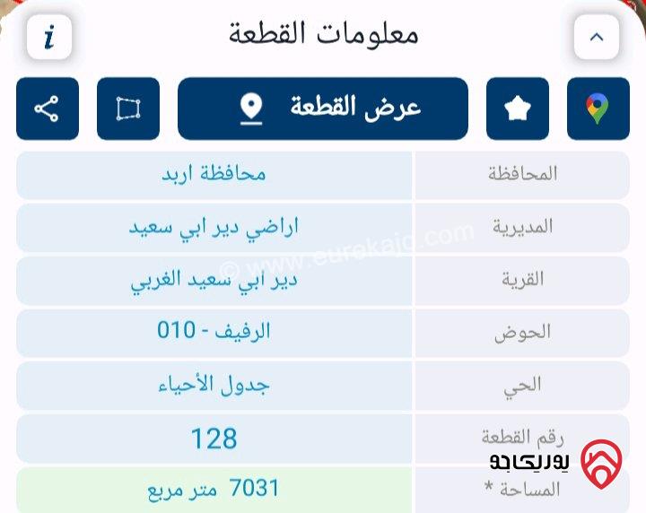قطعة ارض زراعية مشجرة زيتون مساحة 7 دونم للبيع في اربد مطلة على اراضي فلسطين  