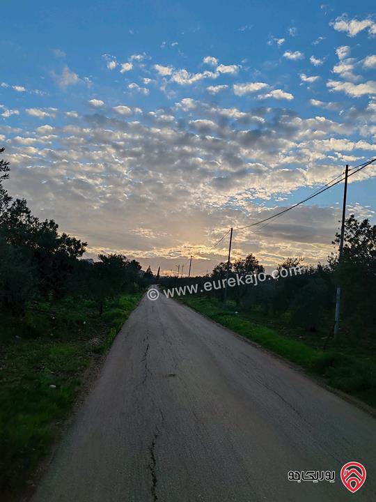 أرض مساحة 1 دونم و 910م للبيع في اربد - مرو 