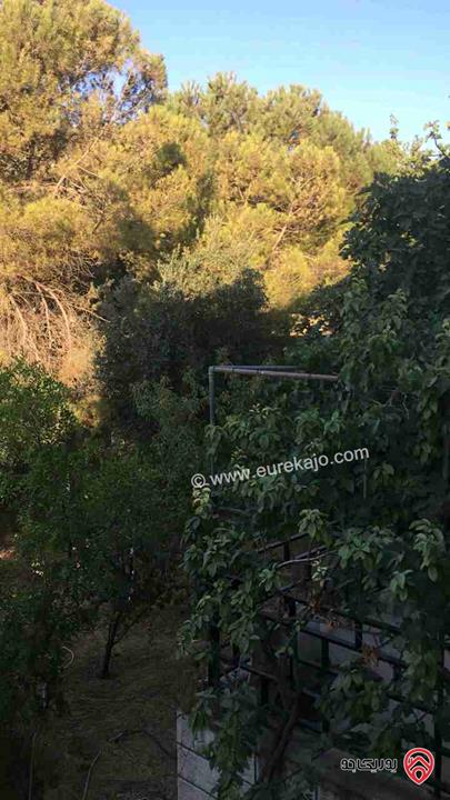 فيلا مساحة البناء 1000م على أرض 1142م للبيع في عمان - صويلح