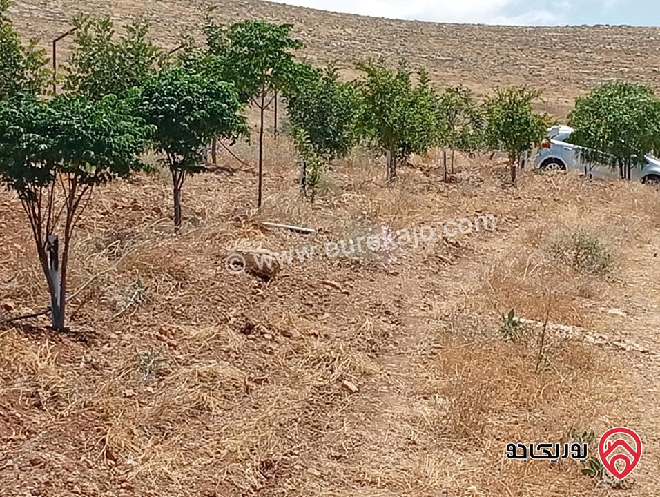 مزرعة مساحة الأرض 3 دونم و 400م بإطلالة للبيع في المفرق - بلعما