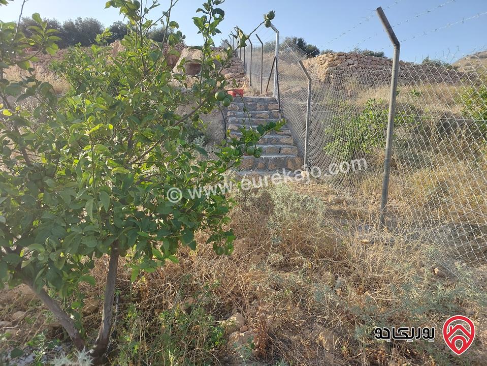 مزرعة مساحة 4 دونم للبيع في غرب عمان - البحاث 