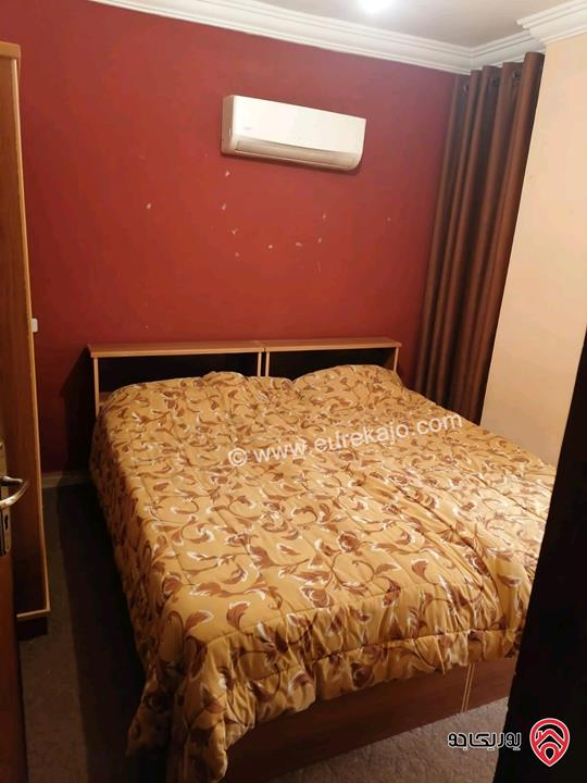 شقق مفروشة للايجار في اربد شارع الجامعة 