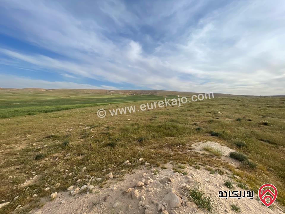 أرض مساحة 21 دونم و 400م للبيع من أراضي شرق عمان - الماضونة قرب جمرك عمان الجديد 