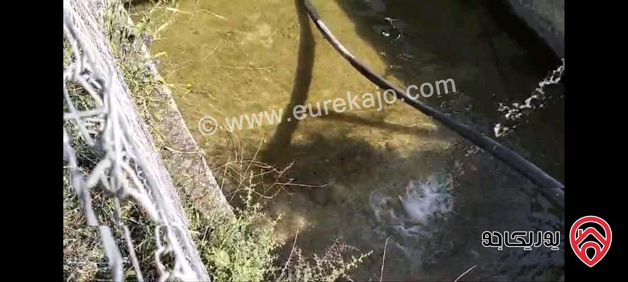 مزرعة مع نبعة مساحة 10 دونم و 800م للبيع في جرش - الكتة