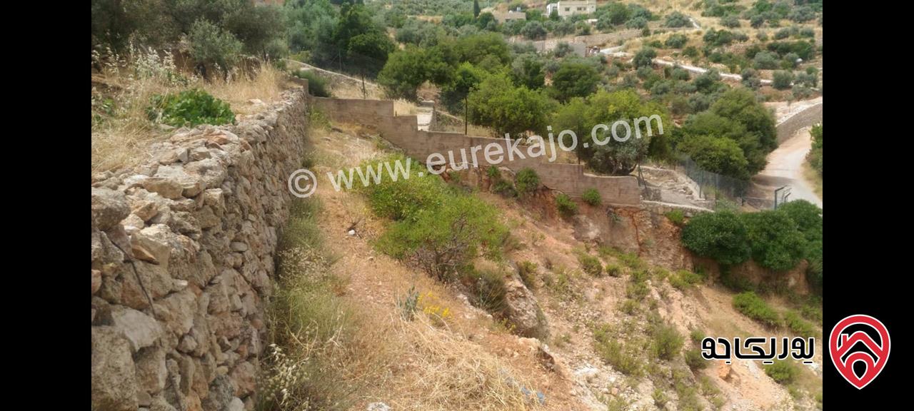 أرض مساحة 1693.4 متر مربع للبيع في أم جوزة – السلط