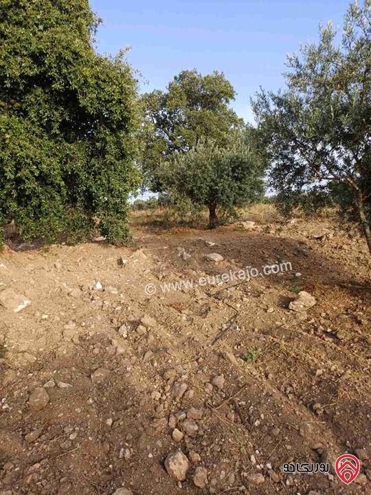 مزرعة مساحة 14 دونم للبيع في اربد - أراضي بني كنانة منطقة سمر