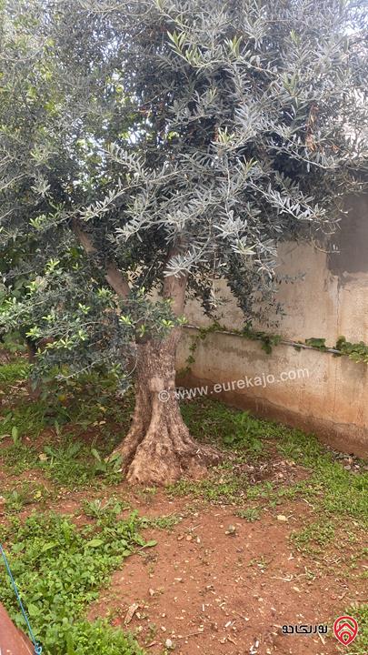 قطعة أرض مميزة ع شارعين مساحة 530م واجهة عريضة للبيع في عمان - اليادودة