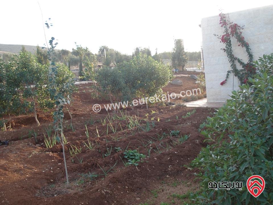 مزرعة مساحة الأرض 4 دونم و 500م والبناء 100م للبيع في الزرقاء - منطقة بيرين 
