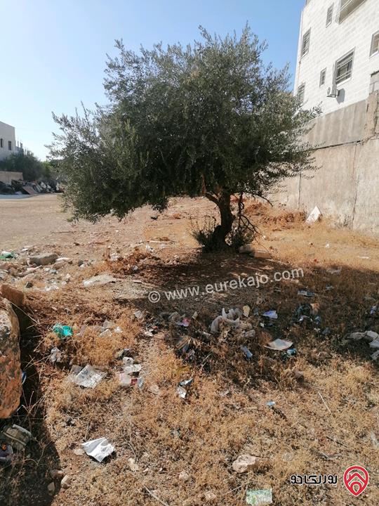 ارض مساحة 1055م للبيع في عمان - جاوا