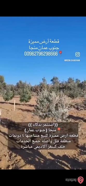 قطعة ارض مساحة 4 دونم للبيع من أراضي جنوب عمان - منجا