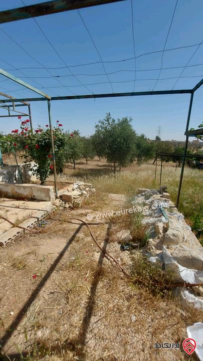 أرض مساحة 885م للبيع في عمان - سالم