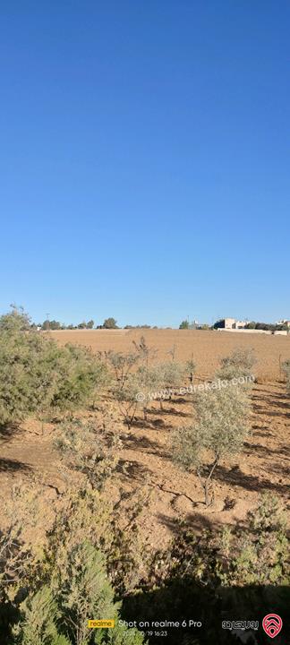مزرعة مساحة 10 دونم مع مسبح صغير وبيت صغير للبيع في جنوب عمان حوض الهريج ملاصق لحواره مادبا