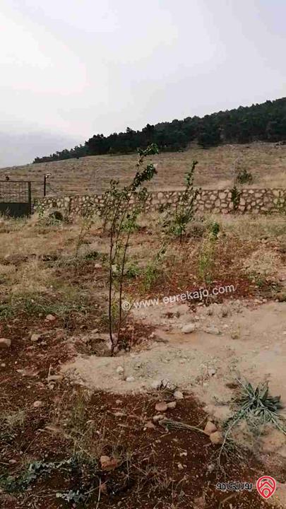 مزرعة مساحة 3400م للبيع في شرق جرش منطقة شاليهات عالية ومطلة