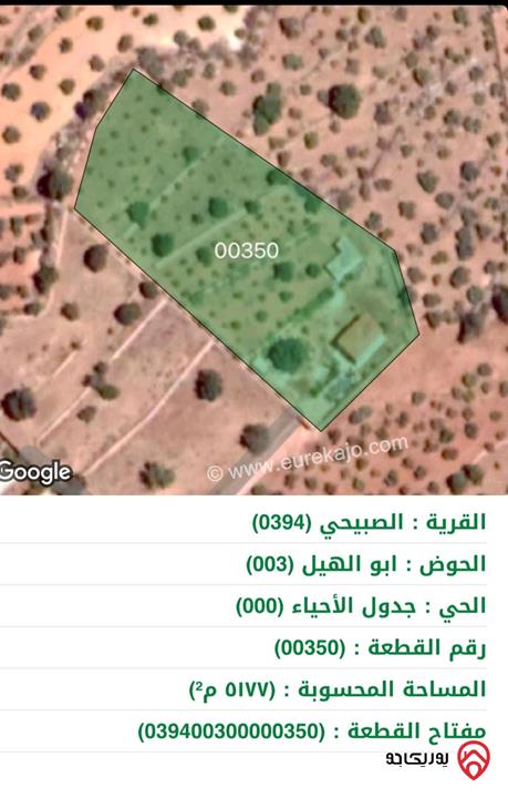 مزرعة مساحة 5177م للبيع في السلط - الصبيحي ابوالهيل  اطلاله على جبال فلسطين