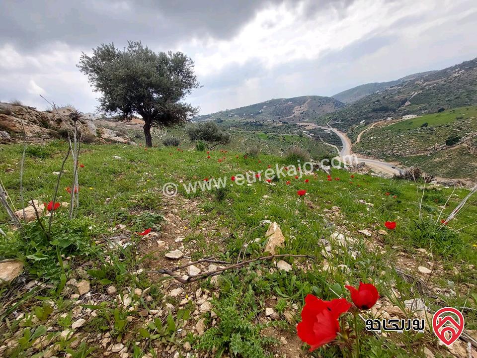  أرض سكنية للبيع في السلط - الجبيل مساحة 1052م (تصنيف أ)