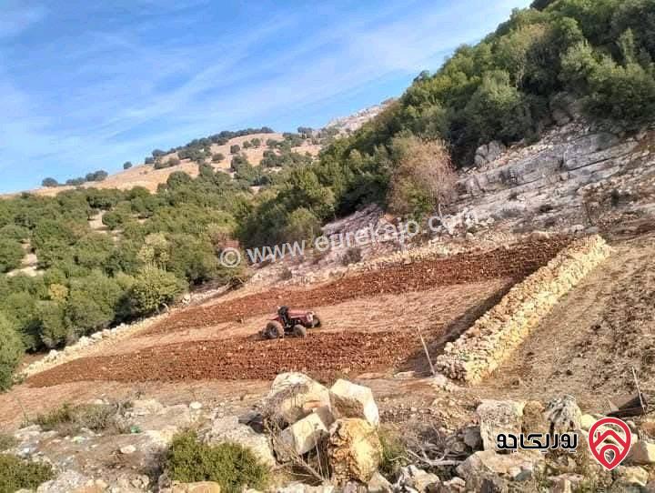 قطعة أرض مساحة 10 دونم للبيع في عجلون مجاورة للاحراش الحكومية من ثلاث جهات 