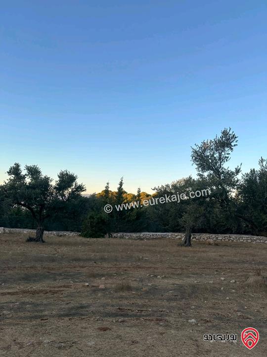 قطعة ارض مساحة 1720م للبيع في اجمل مناطق السلط زي منطقة حيوية وجميلة جدا مزراع وفلل فقط قريبة من كل الخدمات 