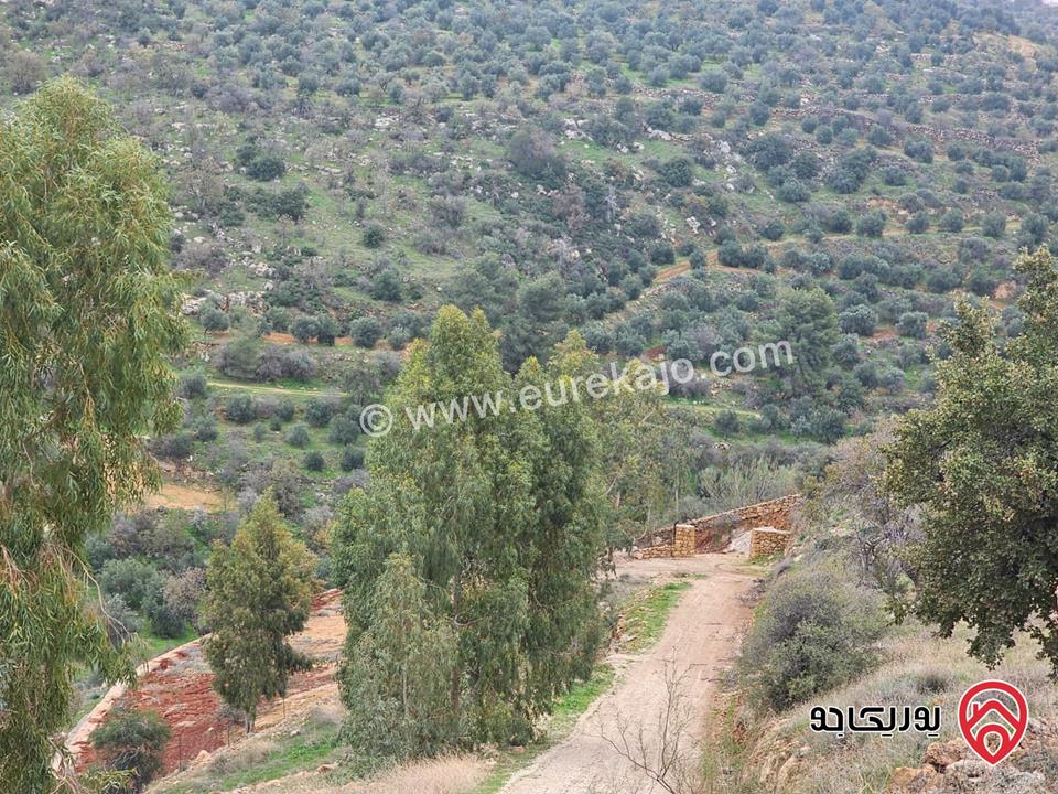 ارض مساحة 4 دونم و 650م للبيع في السلط  الصبيحي – حوض أبو الهيل