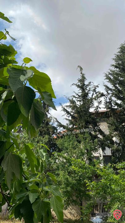 منزل مكون من طابقين على ارض 1 دونم و 27م للبيع في الكمالية ( حوض سلطان السلط)