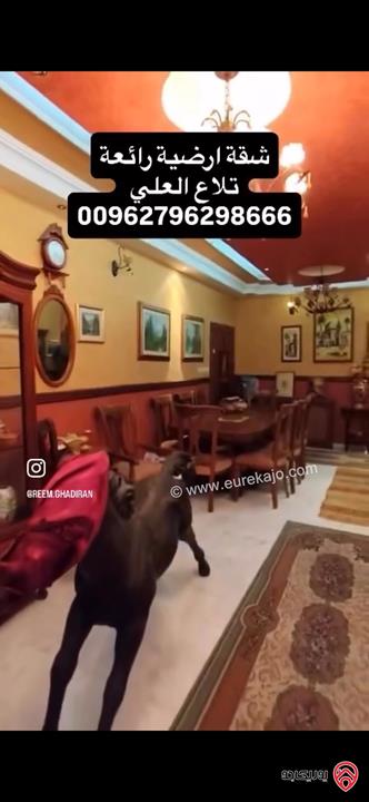 شقة ارضية مساحة 260م داخلي و 300م خارجي للبيع في عمان - تلاع العلي 