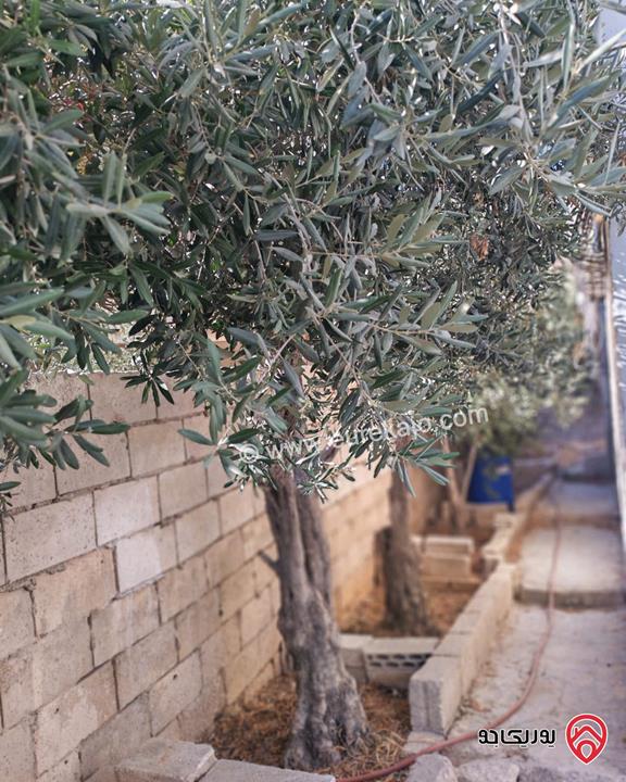 منزل مستقل مساحة 240م على أرض 316م للبيع في الرصيفة الجبل الشمالي