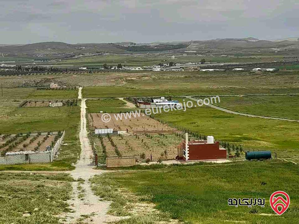 مزرعة مساحة 4 دونم للبيع في المفرق - بلعما 