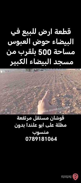 ارض مساحة 500م للبيع في عمان - البيضاء حوض الجواميس 
