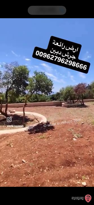 قطعة ارض مميزة مساحة 1 دونم للبيع في جرش - دبين