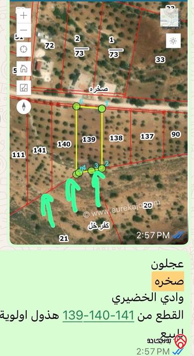 قطعة أرض مساحة 1 دونم و 977م بقوشان مستقل للبيع في صخرة - عجلون على قمة جبل أطلالة خلابة واصل كهربا وماء وشارع مزروعة زيتون منتج من المالك مباشرة