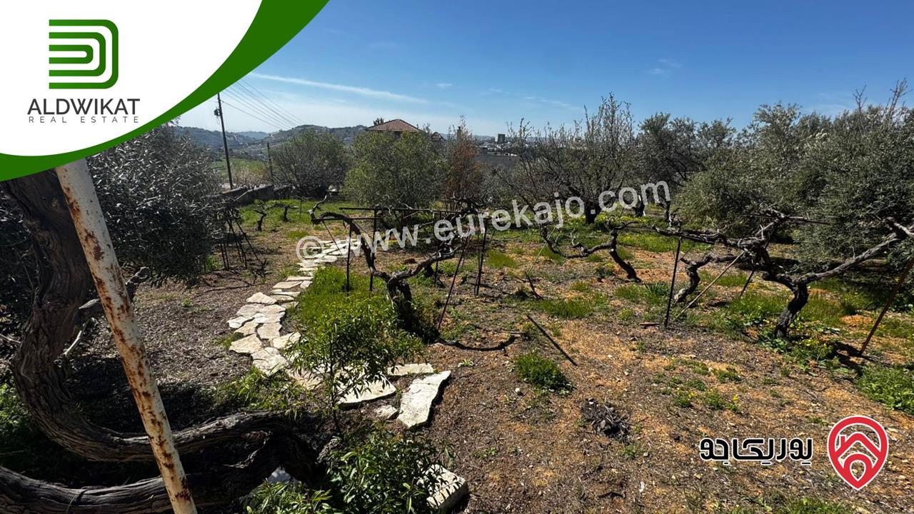 ارض للبيع في اجمل مناطق الحمر مساحة 2 دونم عليها بناء قديم منطقة هادئة وموقع اطلالة