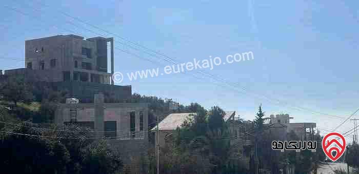 ارض مساحة 1 دونم للبيع في عمان - بدر الجديدة منطقة الكاشف