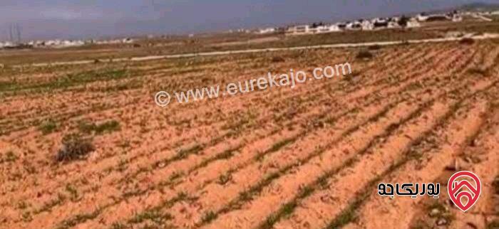 أرض مساحة 15 دونم و 529م للبيع في المفرق - أراضي البادية الشمالية منطقة قاسم