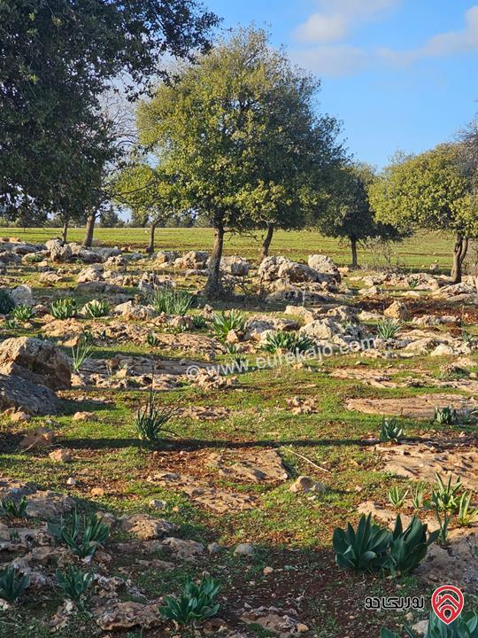  أراضي مميزة عدد 5 مساحة كل قطعة 3 دونم و 400م للبيع في ضاحية النابلسية – جلعد / السلط 