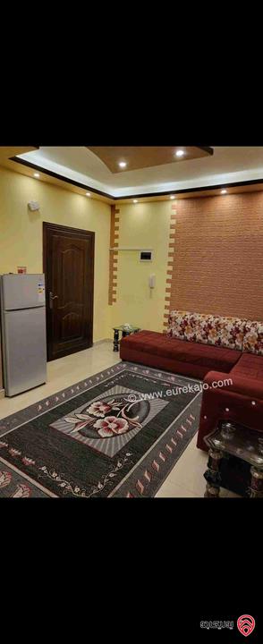 شقة ( فارغ + مفروش ) سكن طالبات للايجار في اربد - مجمع عمان الجديد