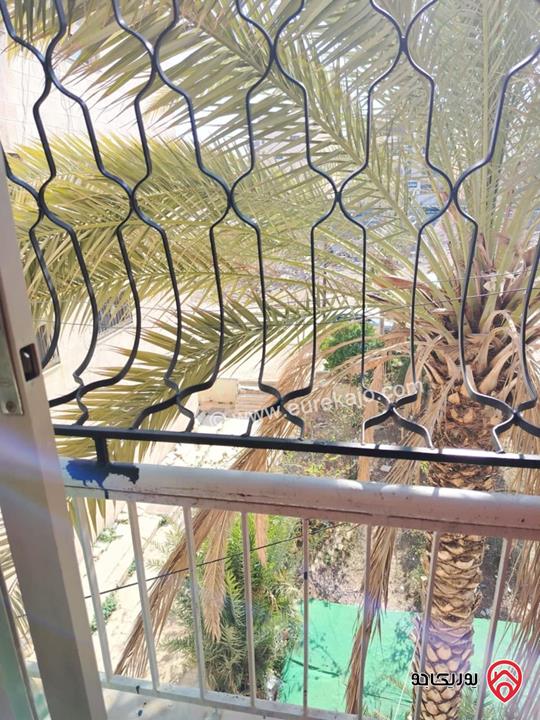 شقة طابق ثاني فني مساحة 60م للايجار في اربد بجانب كلية بنات اربد غرفتين نوم وصالة ومطبخ وحمام