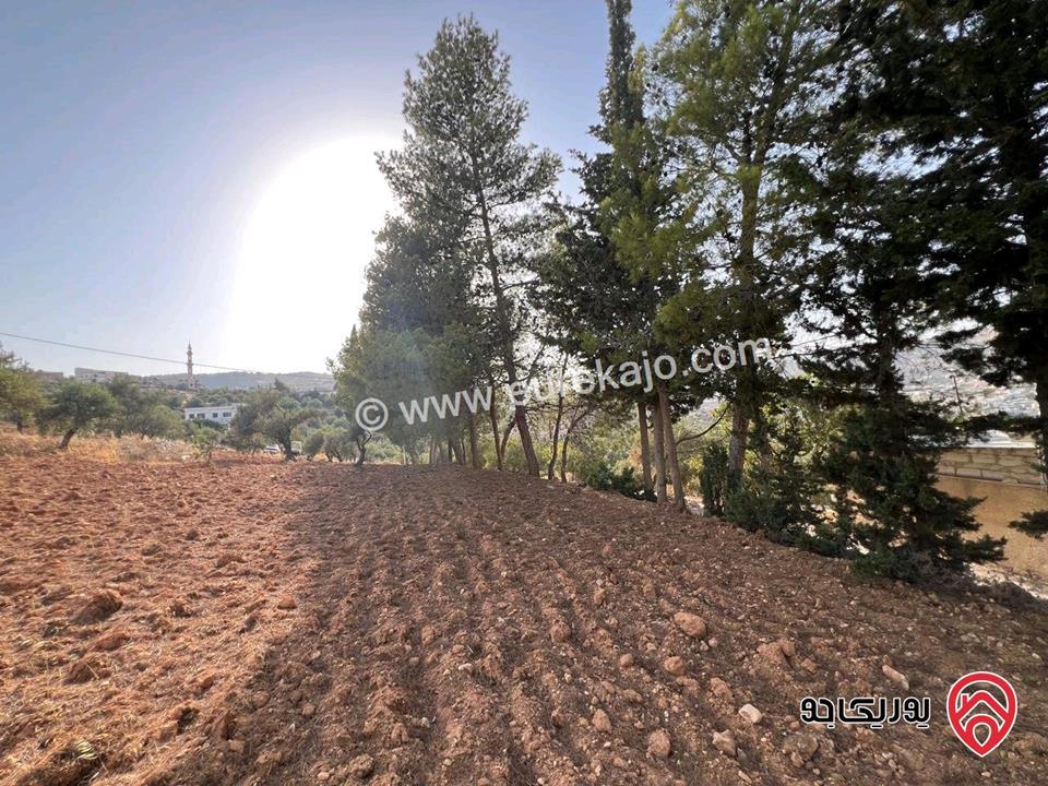 قطعة أرض ريفية مساحة 7 دونم للبيع في في جرش سوف حوض بيدر الحمص 