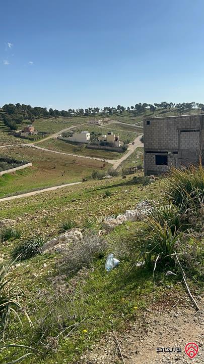 ارض مساحة 625م للبيع بمنطقة بلعما اسكان عمون خلف مسجد بر الوالدين ذات اطلاله رائعه اهزه للبناء محاطه بفلل