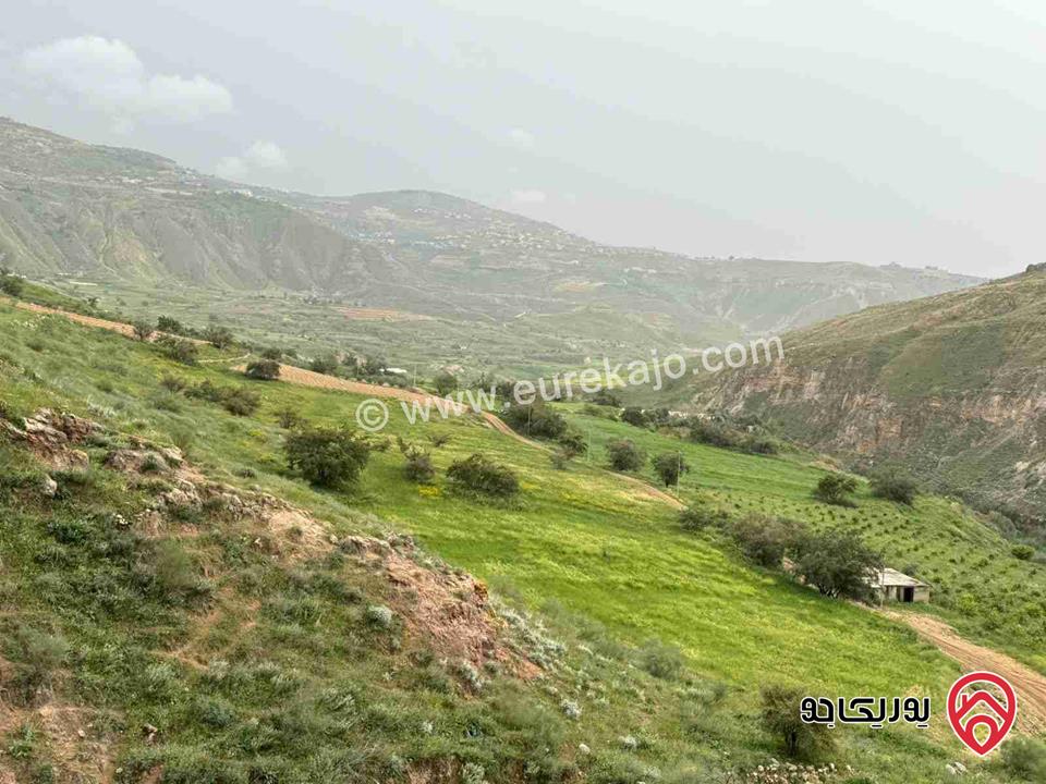 قطعة أرض مساحة 10 دونم و 721م للبيع من أراضي غرب عمان - البحاث حوض القليلات