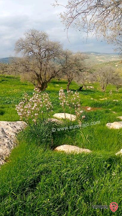 أرض مساحة 5 دونم و 760م للبيع في الزرقاء - صروت تبعد عن عمان 20 دقيقة