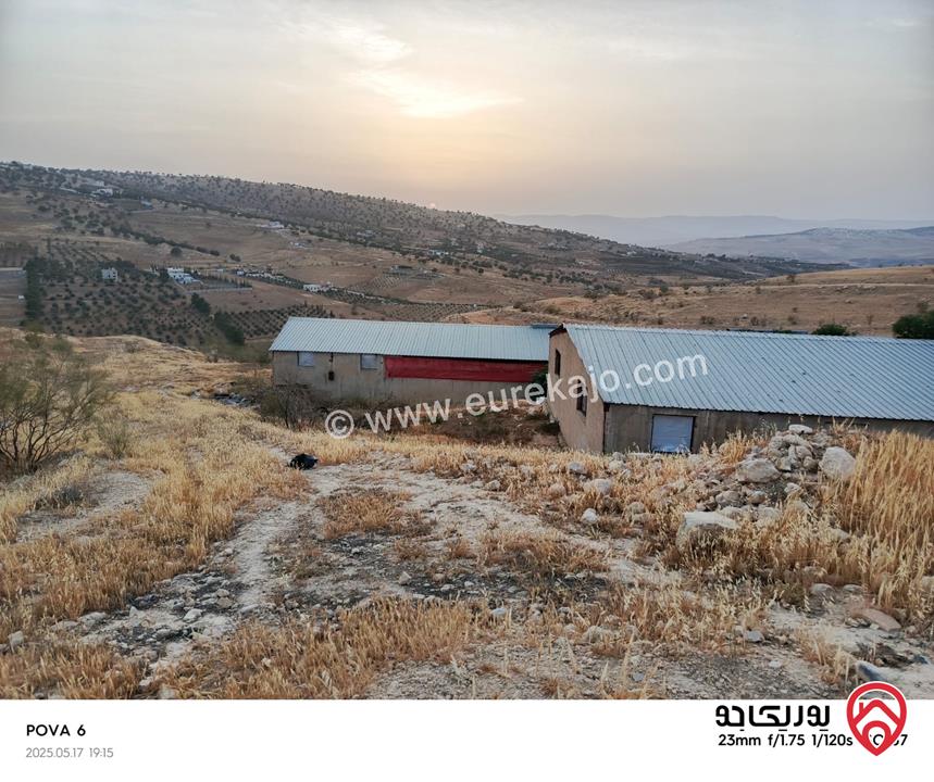 أرض مساحة 14 دونم للبيع في الزرقاء - صروت
