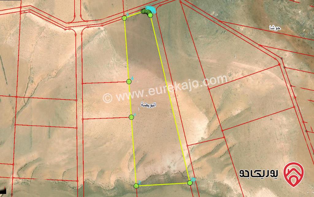 قطعة ارض مساحة 19 دونم للبيع في اربد - الرمثا البويضة