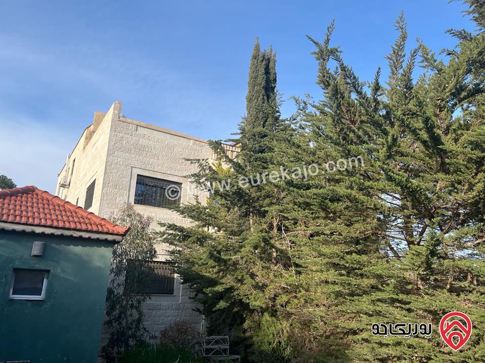فيلا مساحة 850م على مساحة الأرض 1180م للبيع في عمان - البنيات الجنوبي