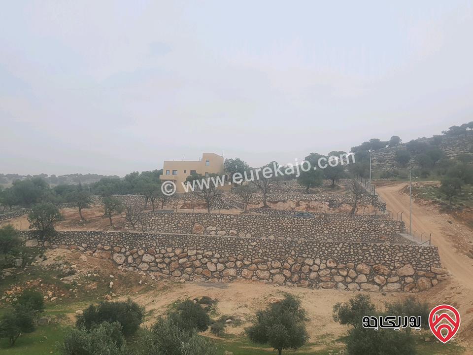مزرعة مساحة الارض 4368م مساحة البناء 216 للبيع في الزرقاء - الكمشة العالوك جديدة تحت الانشاء