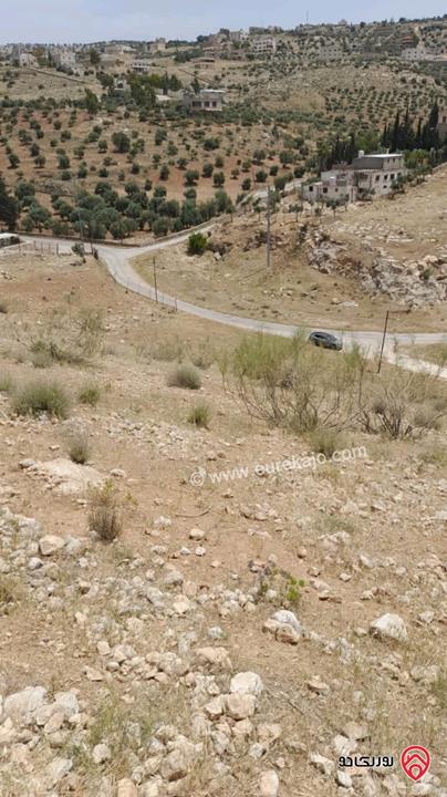 أرض مساحة 11 دونم و 477م للبيع في منطقة جرش - المصطبه 