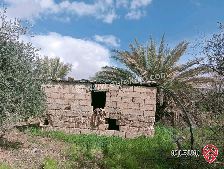 مزرعة مساحة 500 دونم للبيع في عمان - الجيزة