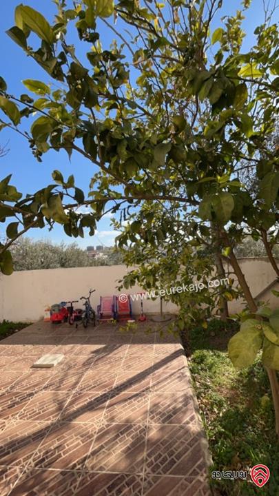 شقة مساحة 275م شبه أرضي للايجار فى عمان - شفابدران لعرسان او عائلة صغيرة 