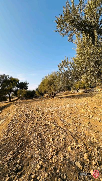 قطعة أرض مساحة 5856 متر للبيع في البلقاء - منطقة ماحص /الميده