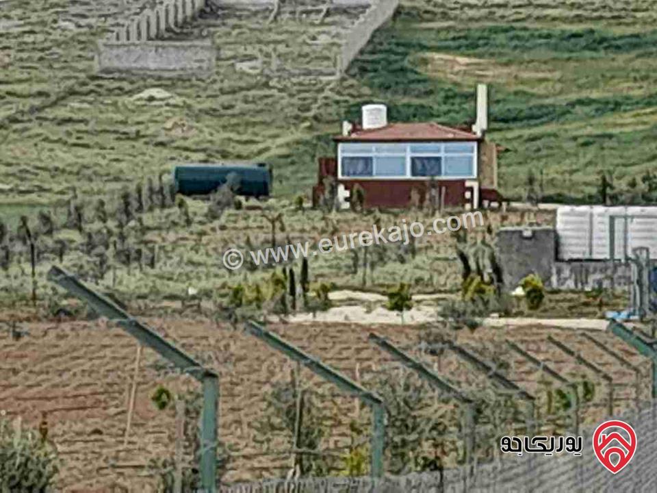 مزرعة مساحة 4 دونم للبيع في المفرق - بلعما 