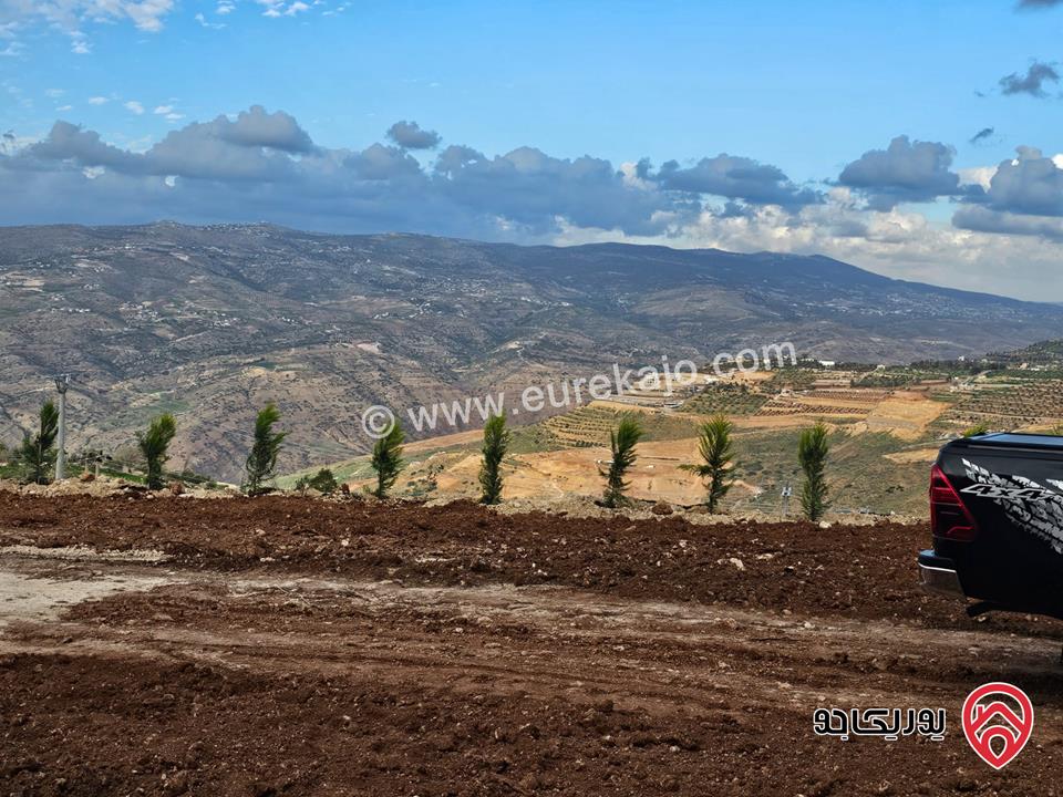 قطعتان متلاصقتان مساحة القطعة 2 دونم و 250م للبيع في السلط - الصبيحي